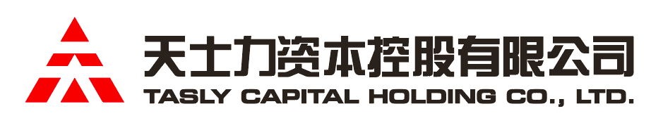304永利集团资本控股有限公司
